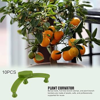 Amazon.co.jp: 誘引クリップ 植物サポート 固定クリップ 10個